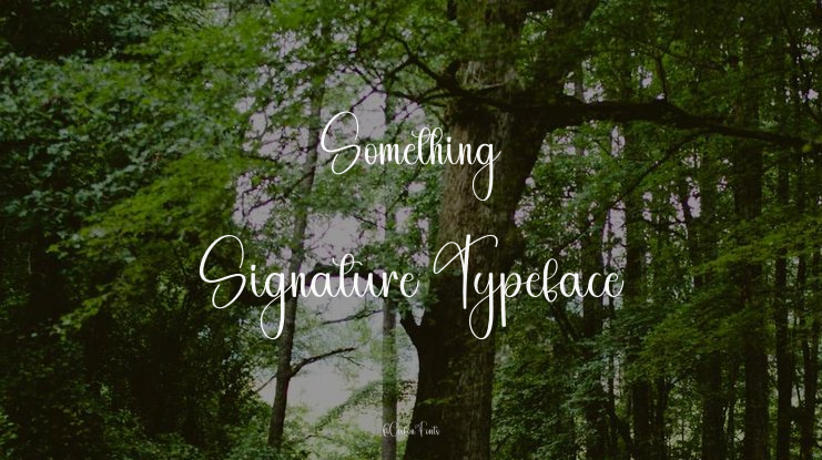 Something Signature Font