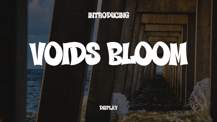 Voids Bloom Font