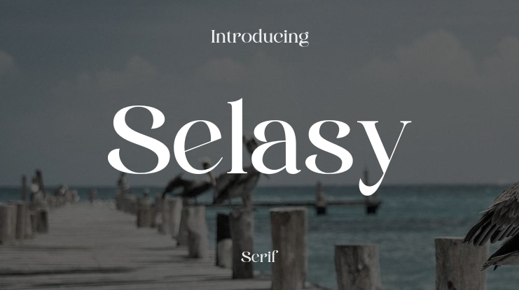 Selasy Font Family