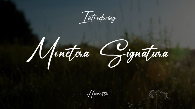 Monetera Signatura Font