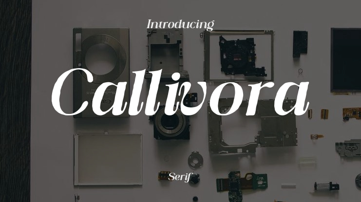 Callivora Font