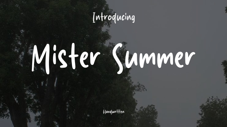 Mister Summer Font