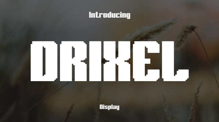 DRIXEL Font