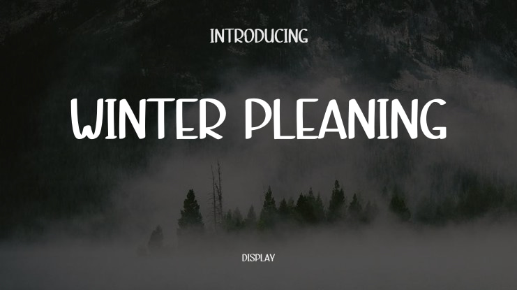 Winter Pleaning Font