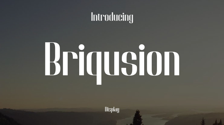Briqusion Font