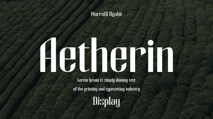 Aetherin Font