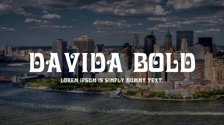 Davida Bold Font Family