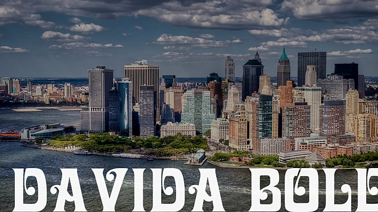 Davida Bold Font Family