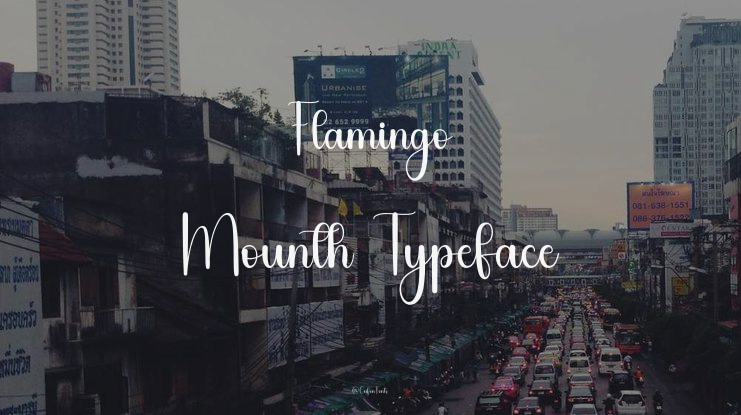 Flamingo Mounth Font