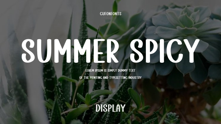 Summer Spicy Font