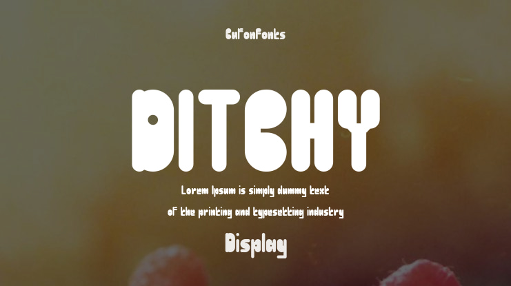 DITCHY Font Family