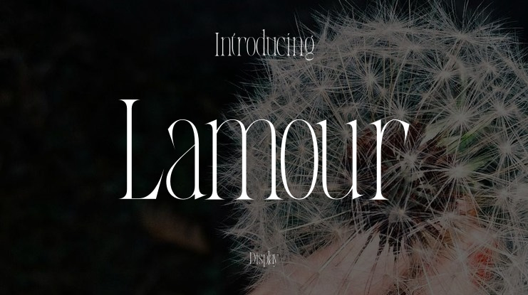 Lamour Font