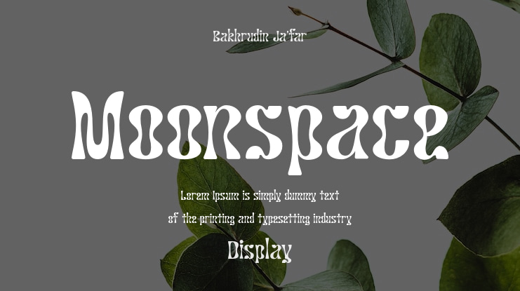 Moonspace Font Family