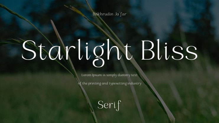 Starlight Bliss Font Family
