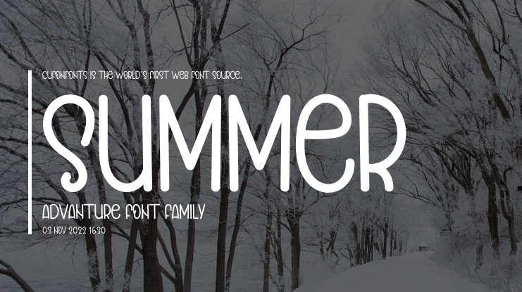 SUMMER ADVANTURE Font