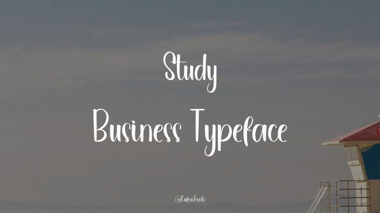 Study Business Font