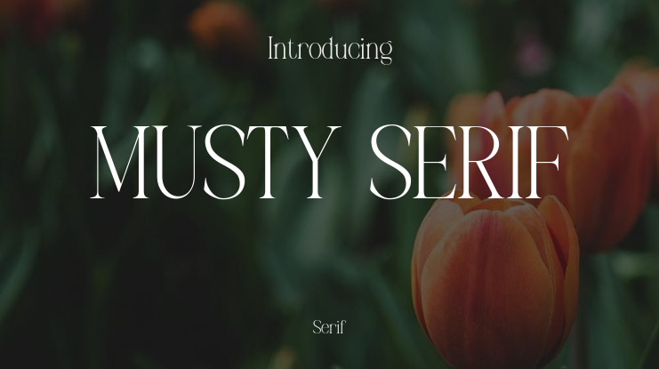 MUSTY SERIF Font
