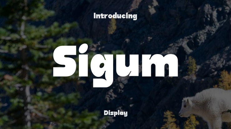 Sigum Font