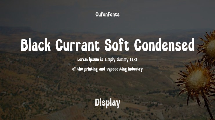 Black Currant Soft Condensed Font