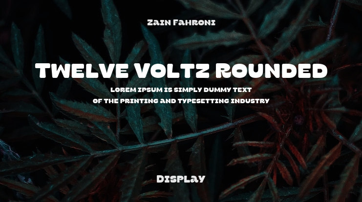 Twelve Voltz Rounded Font Family