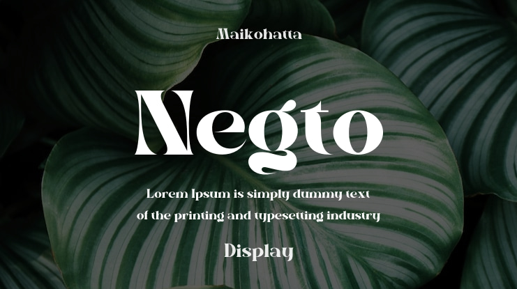 Negto Font