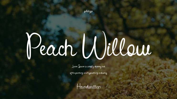 Peach Willow Font
