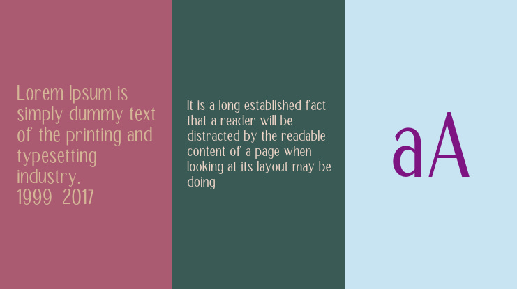 TT Remora Mini Edition Font Family