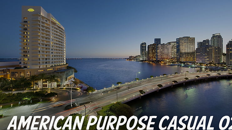 American Purpose Casual 02 Font
