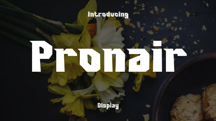 Pronair Font Family