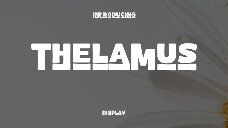 Thelamus Font