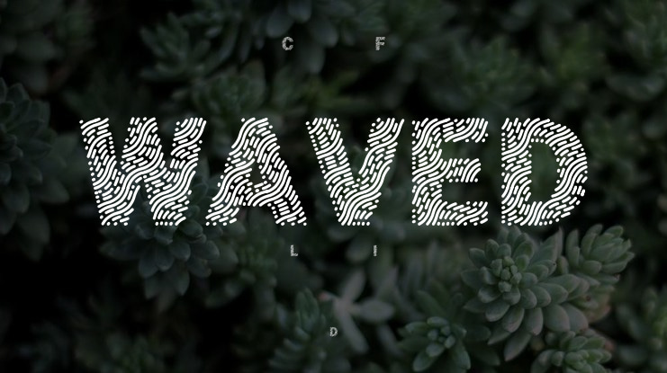 WAVED Font