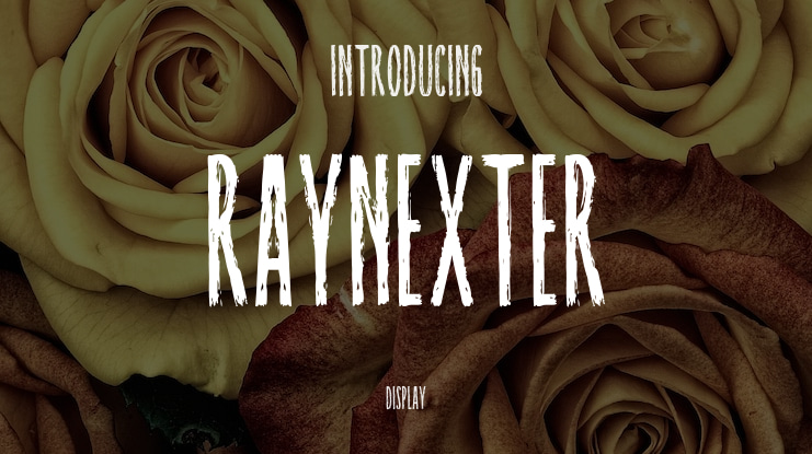 Raynexter Font Family