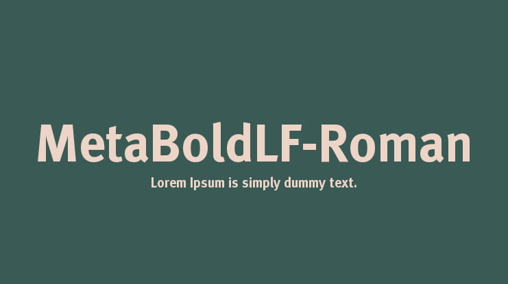 MetaBoldLF-Roman Font