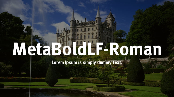 MetaBoldLF-Roman Font