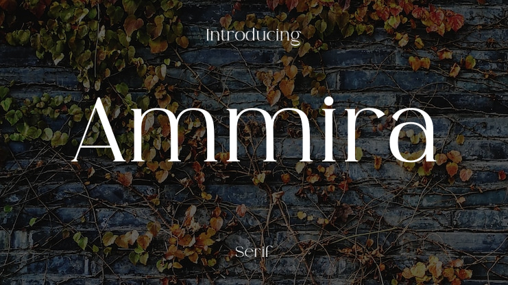 Ammira Font
