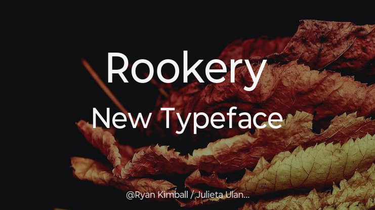 Rookery New Font Family