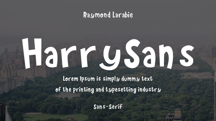 HarrySans Font