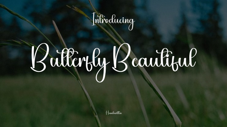 Butterfly Beautiful Font
