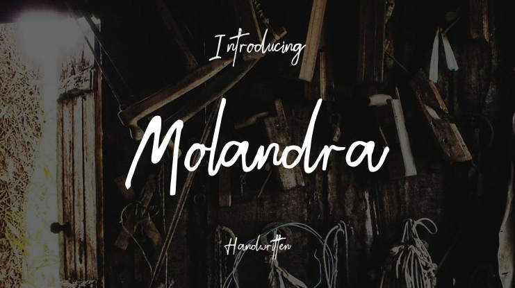 Molandra Font
