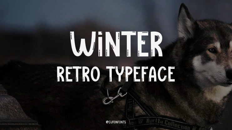 Winter Retro Font