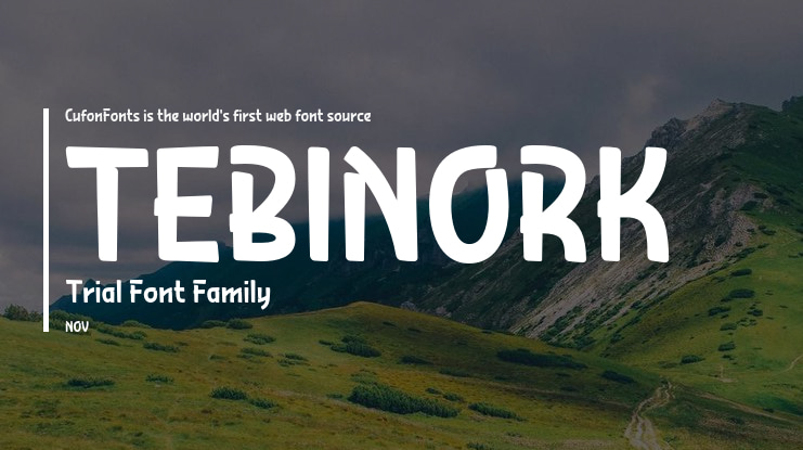 TEBINORK Trial Font