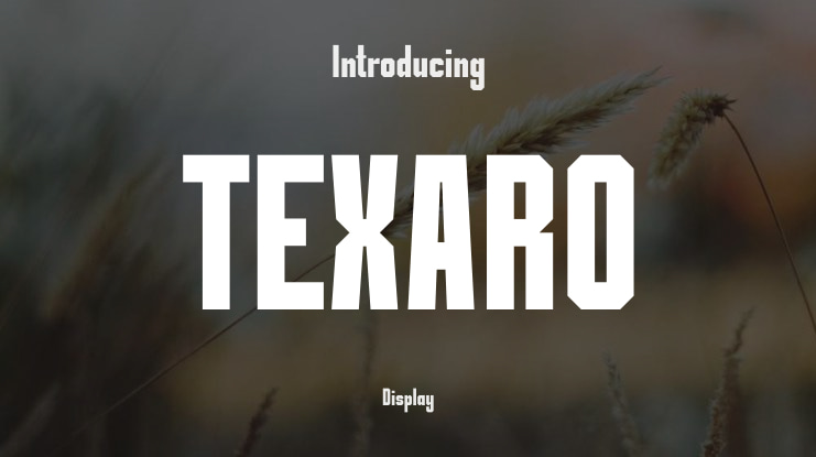 TEXARO Font
