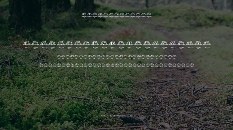 Floralith Split Monogram Font