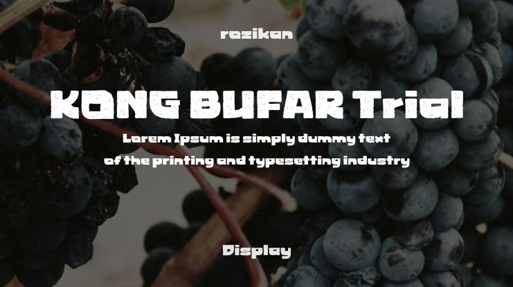 KONG BUFAR Trial Font