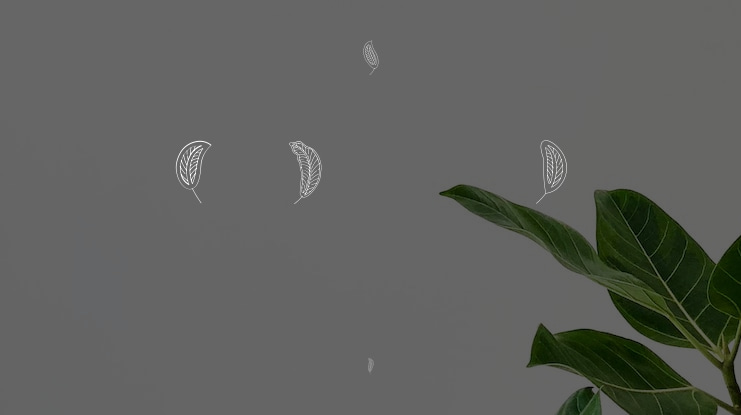 Les Feuilles Mortes Font