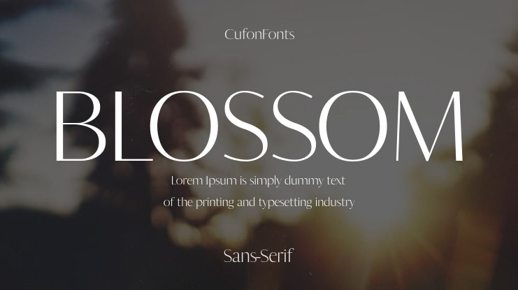 BLOSSOM Font Family
