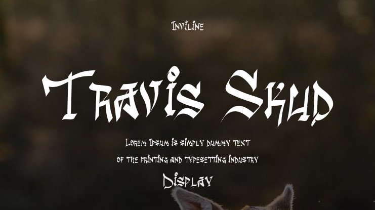 Travis Skud Font