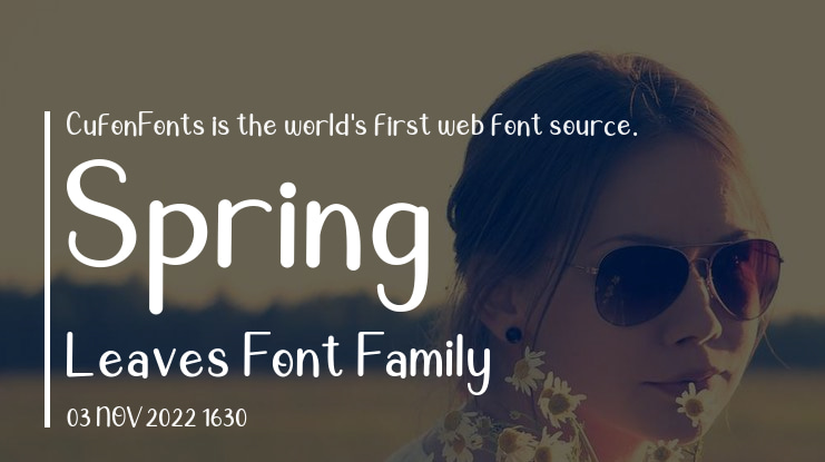 Spring Leaves Font