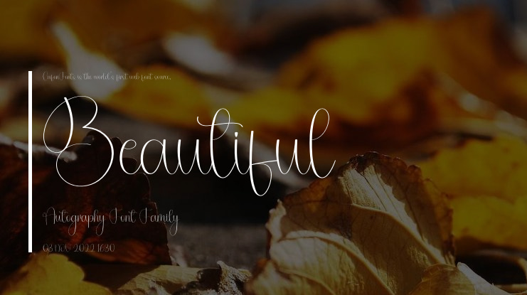 Beautiful Autography Font