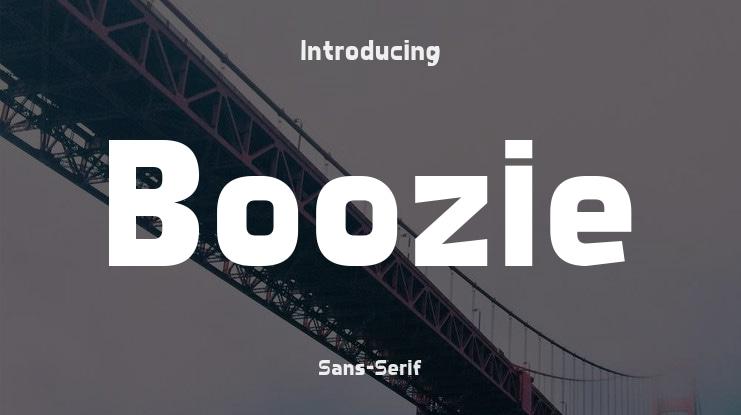 Boozie Font